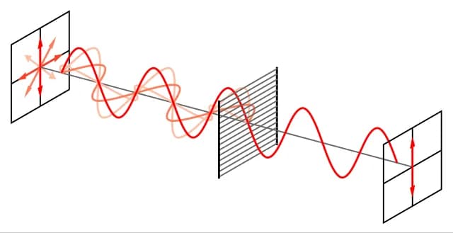 Konsensus kraschar demokratin