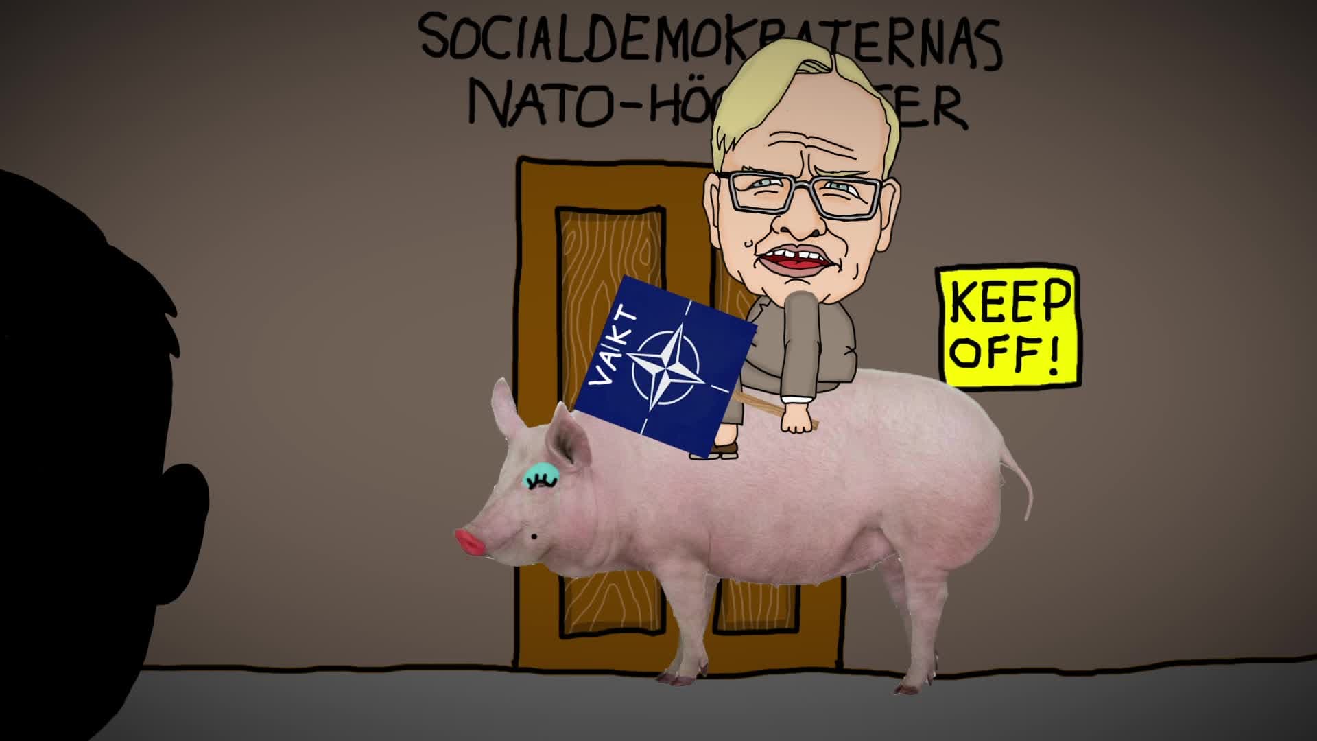 100% Baudin möter Peter Hultqvist (S)